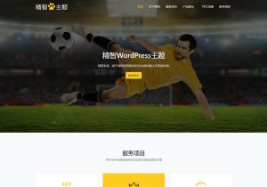 黄色体育wordpress主题，适合用于体育用品公司的官方网站使用。