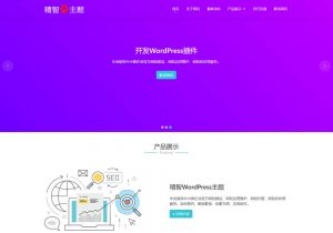 中文wordpress人工智能AI主题，简洁实用的人工智能或其它AI相关公司官方网站WP模板。